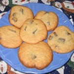 banana-chocolate-chip-cookies-0061
