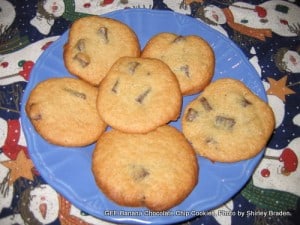 banana-chocolate-chip-cookies-0062