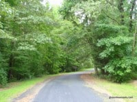 walking, movement, self-care retreat, woodland scene