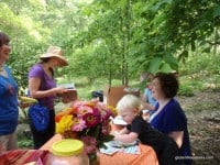 GFE Gluten-Free Virtual Support Group, Paleo Parents, Eat Like A Dinosaur, cookbook, gluten free, paleo, dairy free, legume free, refined sugar free