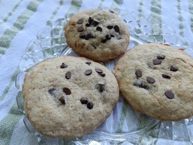 Don't be misled by this less than stellar photo. These gluten-free Banana Chocolate Chip Cookies are awesome. Especially hot out of the oven. [from GlutenFreeEasily.com]