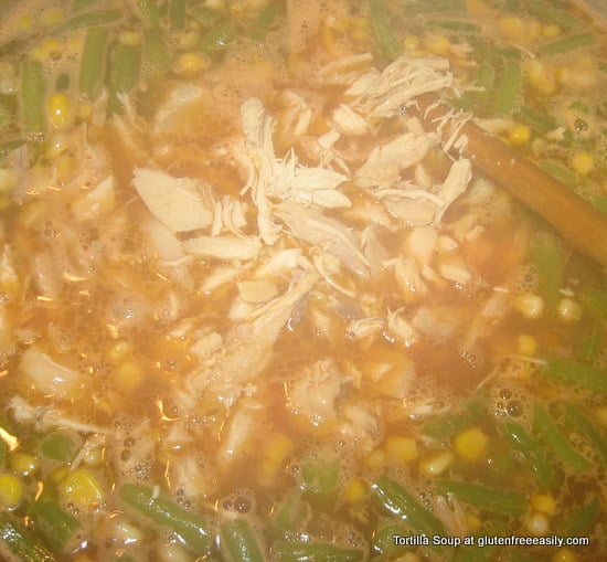 Tortilla Soup 040