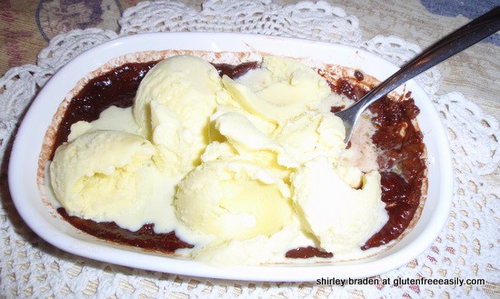 Chocolate Cake and Mtns 022