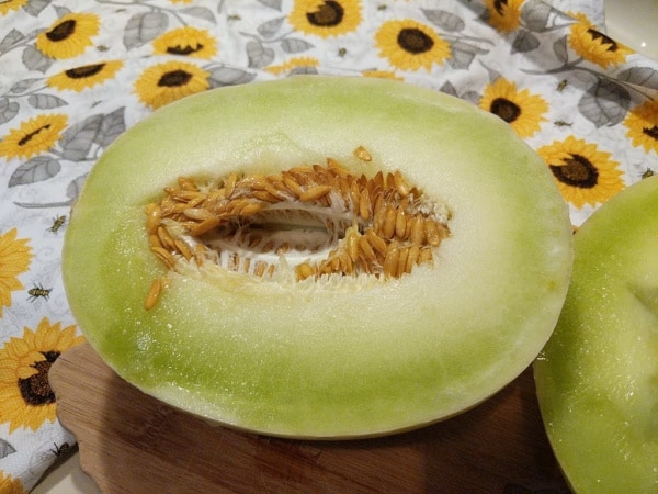 Honeydew Melon