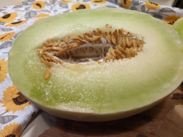 Simple Honeydew Melon Sherbet - Weavers Orchard