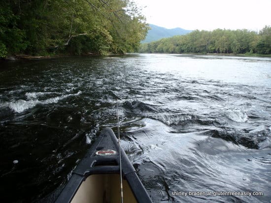 Self care with movement. Moving with a purpose. Canoeing the Shenandoah River.