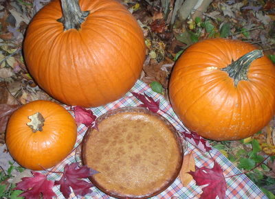 Crustless Gluten-Free Pumpkin Pie. It's the very best! So easy, too. [from GlutenFreeEasily.com]