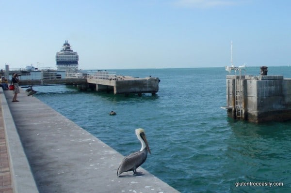 Gluten Free Key West Trip Report (using the gfe Approach) Gluten Free Key West Trip Report (using the gfe Approach)
