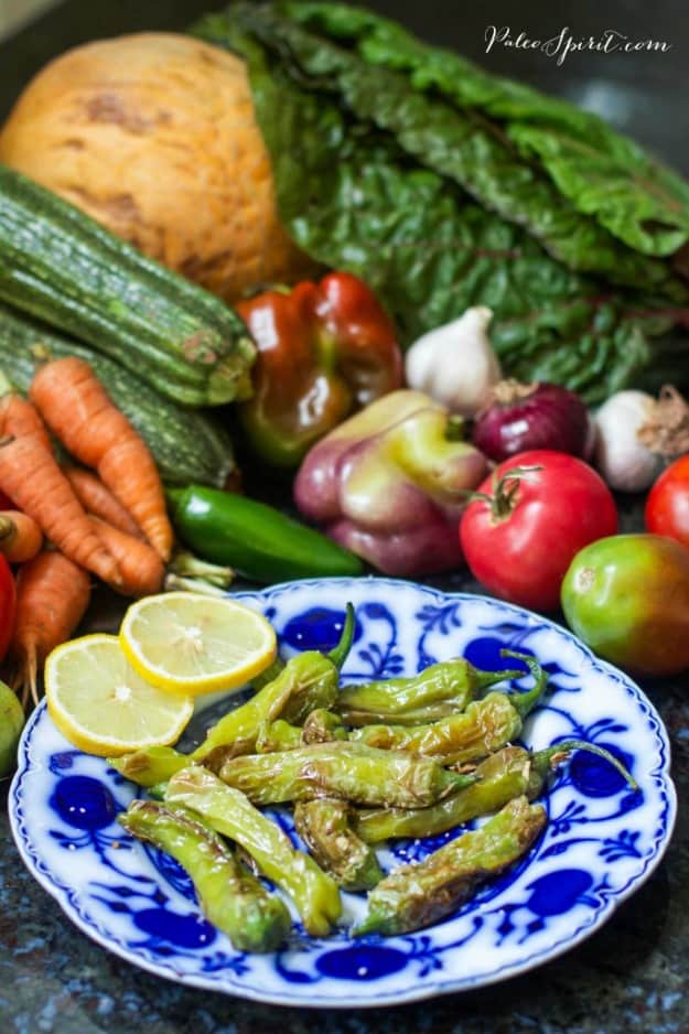 Pan-Fried Shishito Peppers