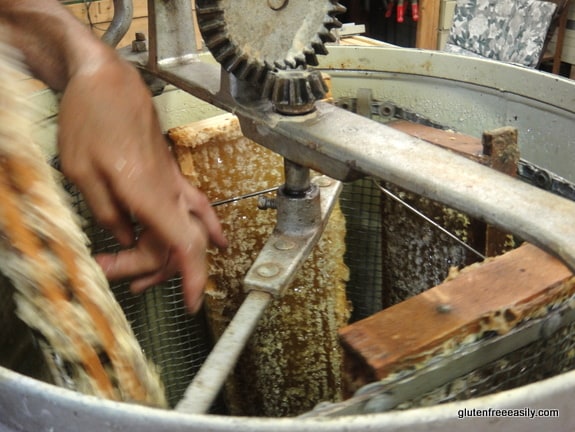 Raising Honey Bees and Harvesting Their Honey. Adding the now uncapped full frames to the spinner.
