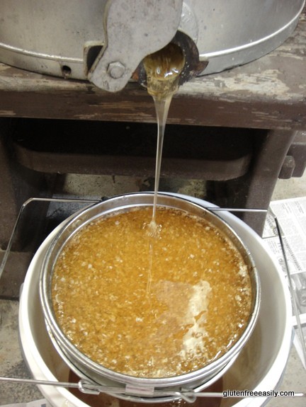 Raising Honey Bees and Harvesting Their Honey. Draining and straining honey from the spinner.