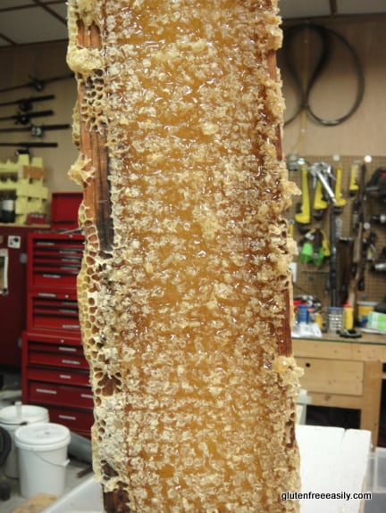 Raising Honey Bees and Harvesting Their Honey. Full frames ready to be processed by hand. Full of golden delicious honey!