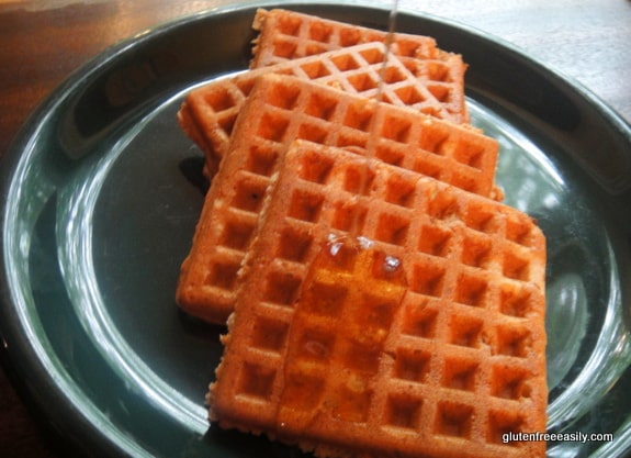 https://glutenfreeeasily.com/wp-content/uploads/2010/09/Waffles-037.jpg