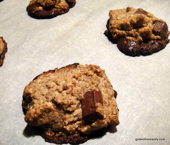 Gluten-Free Cashew Chocolate Chip Cookies from Ricki Heller's cookbook Sweet Freedom.
