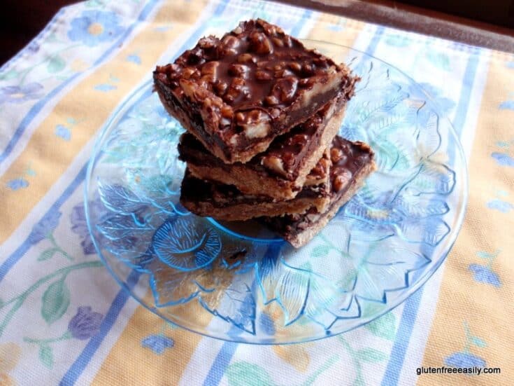 Gluten-Free Dark Chocolate Walnut Bliss Bars. Plus dairy free and refined sugar free, too. Freezer time firms the bars and intensifies the dark chocolate flavor. So, so good!
