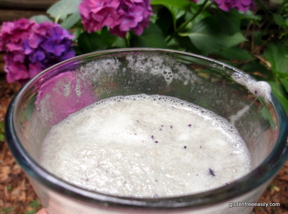 Just a handful of ingredients make this Blueberry Banana Smoothie aka Blueberry Banana Foamie, which is lighter than most smoothies because light and refreshing coconut water is used. [from GlutenFreeEasily.com]