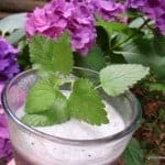 When you want a smoothie that's lighter, go for this Blueberry Banana Foamie (aka Blueberry Banana Smoothie). It's a wonderful way to start one's day or have an afternoon pick me up! [from GlutenFreeEasily.com]