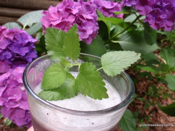 Blueberry Banana Foamie with Lemon Balm Sprig. One of many fabulous Gluten-Free Mother's Day Brunch Recipes! From Gluten Free Easily.