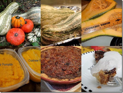 Cushaw squash used to make "Pumpkin" Pecan Pie. Get some cushaw squash if you can. It's wonderful. Can be used in place of pumpkin for any recipes. [from GlutenFreeEasily.com]