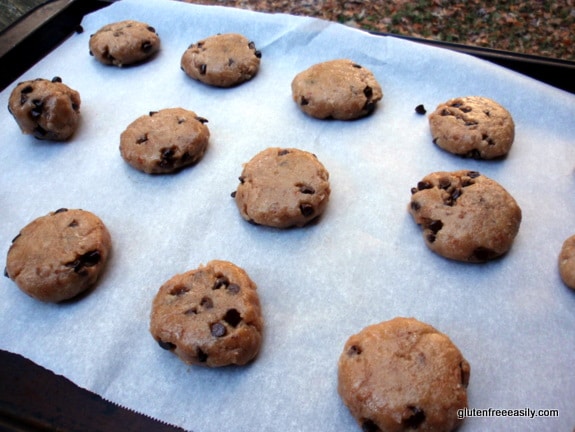 Toasted Coconut Chocolate Chip “Samoa”-Taste Cookies - Gluten-Free, Grain-Free, Dairy-Free, Egg-Free, Vegan at Gluten Free Easily