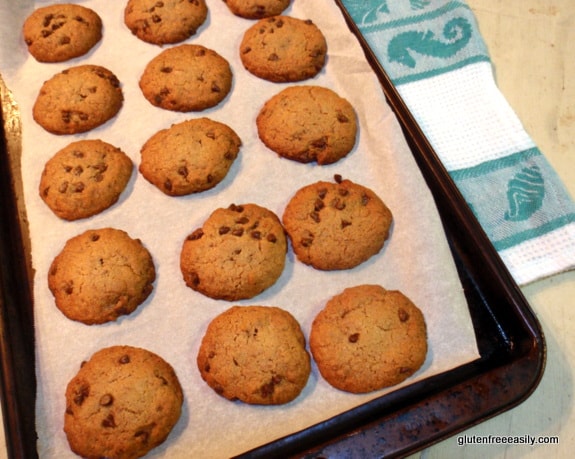 Toasted Coconut Chocolate Chip “Samoa”-Taste Cookies - Gluten-Free, Grain-Free, Dairy-Free, Egg-Free, Vegan at Gluten Free Easily