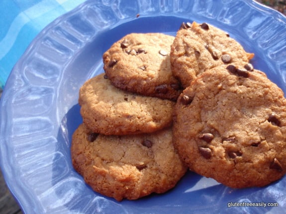 Toasted Coconut Chocolate Chip “Samoa”-Taste Cookies - Gluten-Free, Grain-Free, Dairy-Free, Egg-Free, Vegan at Gluten Free Easily