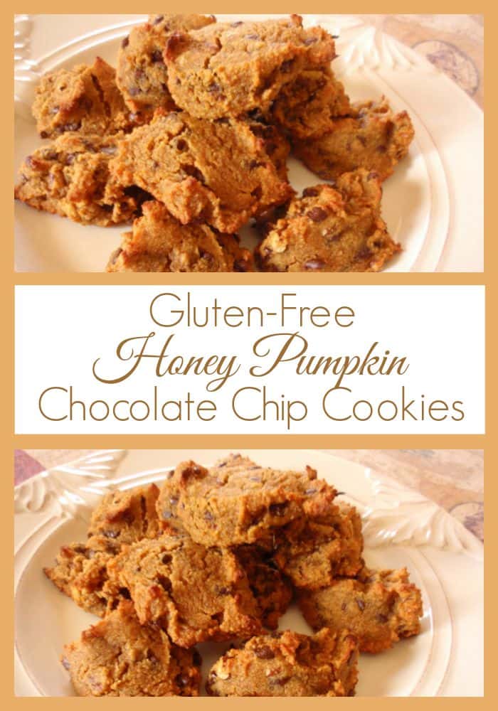 These gluten-free honey pumpkin chocolate chip cookies are a wonderful way to use canned or fresh pumpkin. I even share a grain-free version. [from GlutenFreeEasily.com] (photo)