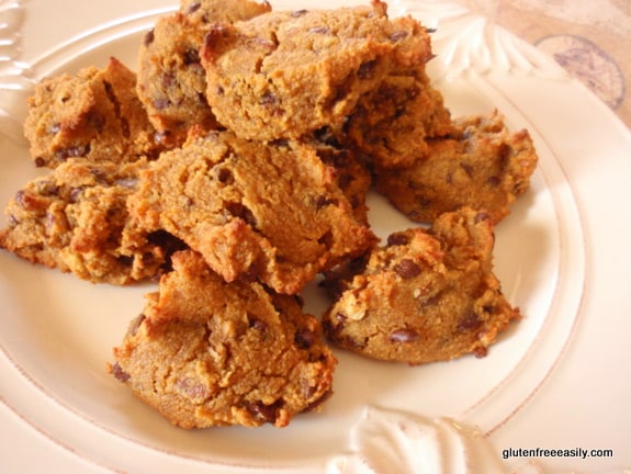 Gluten-Free, Grain-Free Honey Pumpkin Chocolate Chip Cookies at Gluten Free Easily