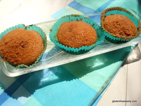 These gluten-free Orange Honey Chocolate Chip Muffins are light and lovely with their orange flavor nicely punctuated by the addition of chocolate chips. [from GlutenFreeEasily.com] (photo)