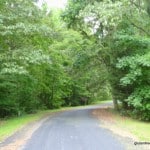walking, movement, self-care retreat, woodland scene