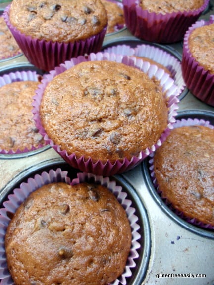 grain free, gluten free, nut butter, seed butter, bananas, chocolate chip, muffins, adopt a gluten-free blogger