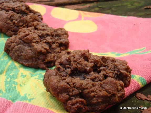 These gluten-free Double Chocolate Nut Butter Oaties are soft, moist and somewhat hearty cookies. They make for great lunch or breakfast cookies; only one or two is needed to satisfy! [from GlutenFreeEasily.com] (photo)