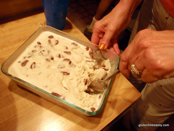 kelly brozyna, the spunky coconut, butter pecan ice cream, dairy-free ice cream cookbook