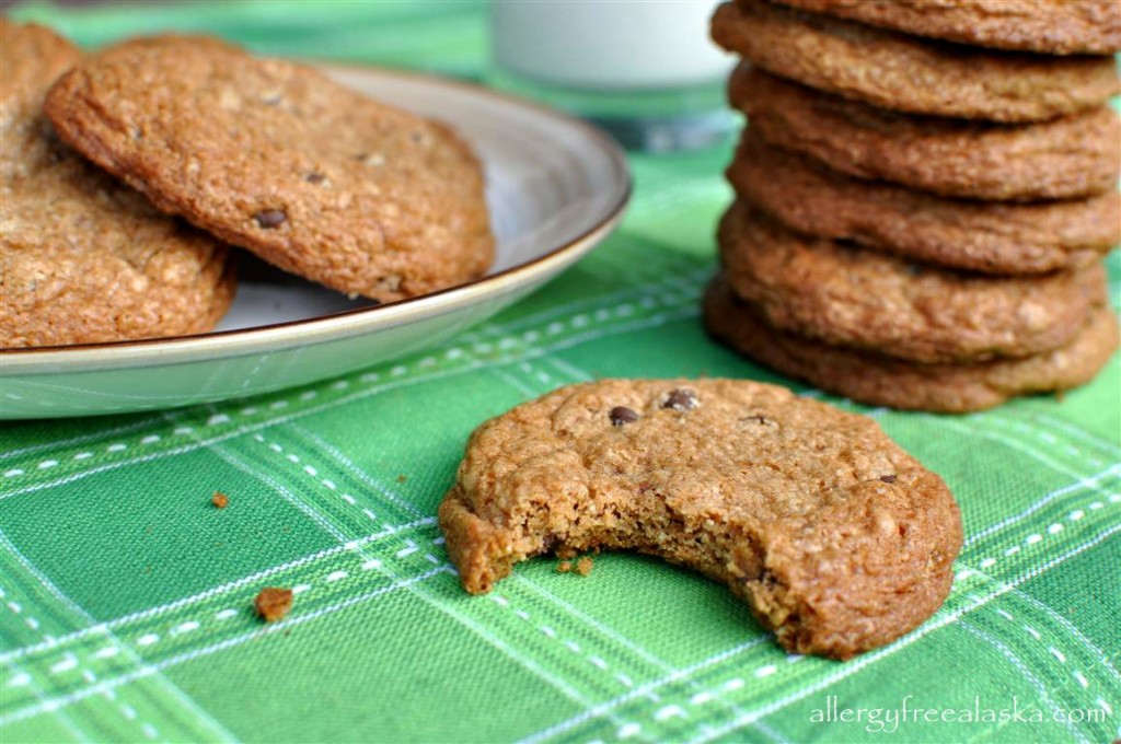National Chocolate Chip Cookie Day! Toll House Style Chocolate Chip Cookies from Allergy-Free Alaska. [from GlutenFreeEasily.com] (photo)