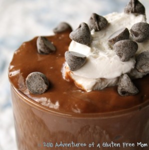 Chocolate Pudding from Adventures of a Gluten-Free Mom [featured on AllGlutenFreeDesserts.com]