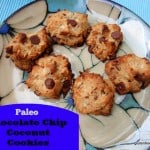 Paleo-Friendly Chocolate Chip Coconut Cookies from Gluten Free Easily