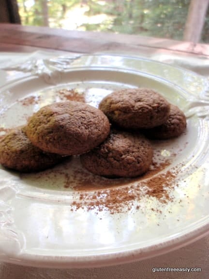 Gluten-Free Flourless Chocolate Cookies Gluten Free Easily Dairy Free