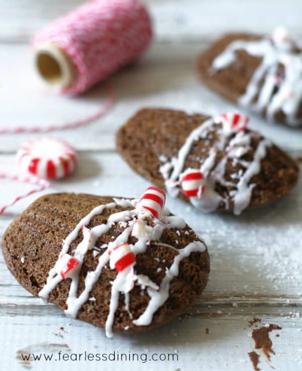Gluten-Free Chocolate Madeleines with Crushed Candy Cane. One of several recipes featured on gfe. [from GlutenFreeEasily.com]