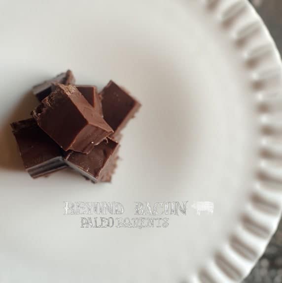 Triple Chocolate Freezer Fudge from Beyond Bacon by Paleo Parents