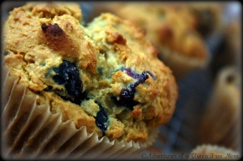 Knee Slappin' Good Blueberry Muffins Adventures of a Gluten-Free Mom