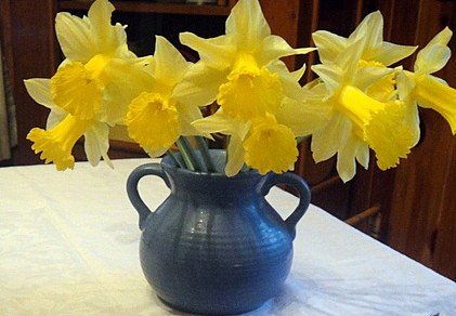 Daffodils Gluten Free Easily