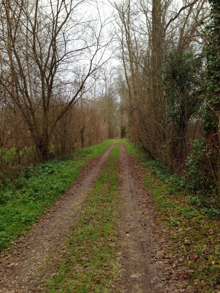 Beautiful Walk Parkland Jarnac France