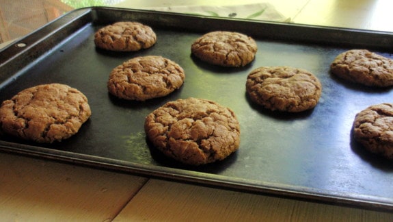 Gluten-free Disappearing Mounds Cookies. Made from shredded coconut plus almond butter and cocoa, resulting in an outstanding, but disappearing cookie! Paleo and flourless, too. [from GlutenFreeEasily.com]