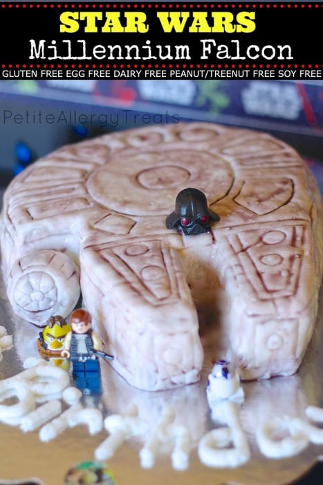 Star Wars Millenium Falcon Petite Allergy Treats