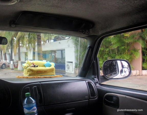Sponge Bob Rode in The Taxi with Us to the Square Cozumel