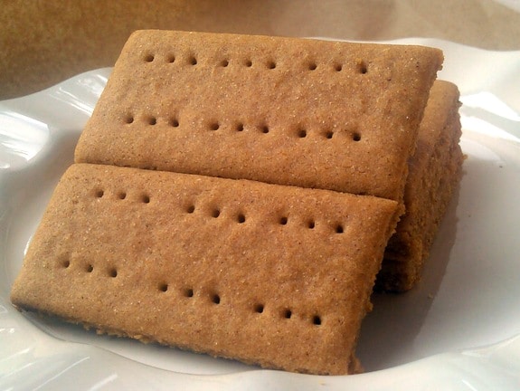 Gluten-Free Graham Crackers Fairy Wings and Pixie Dust