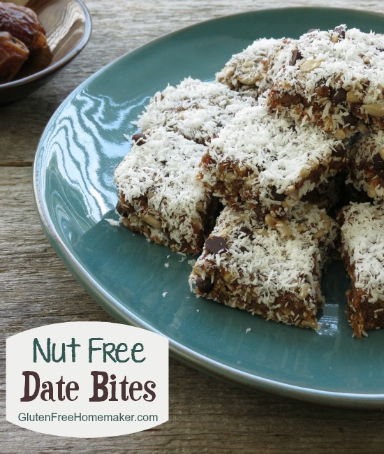 Nut_Free_Date_Bites_The Gluten-Free Homemaker