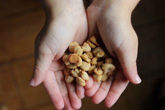 Gluten-Free Grain-Free Nut-Free Paleo O's Cereal from Predominantly Paleo