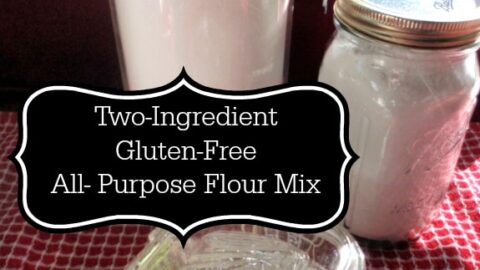 https://glutenfreeeasily.com/wp-content/uploads/2014/10/Two-Ingredient-Gluten-Free-All-Purpose-Flour-Mix-Gluten-Free-Easily-480x270.jpg