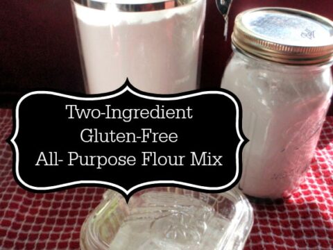 https://glutenfreeeasily.com/wp-content/uploads/2014/10/Two-Ingredient-Gluten-Free-All-Purpose-Flour-Mix-Gluten-Free-Easily-480x360.jpg